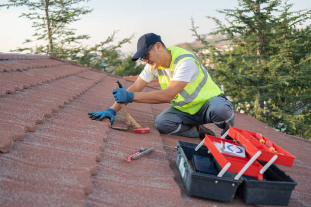 Best Metal Roofing Contractor  in Olmsted Falls, OH