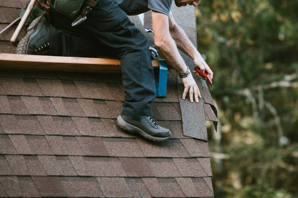 Best Roof Gutter Cleaning  in Olmsted Falls, OH